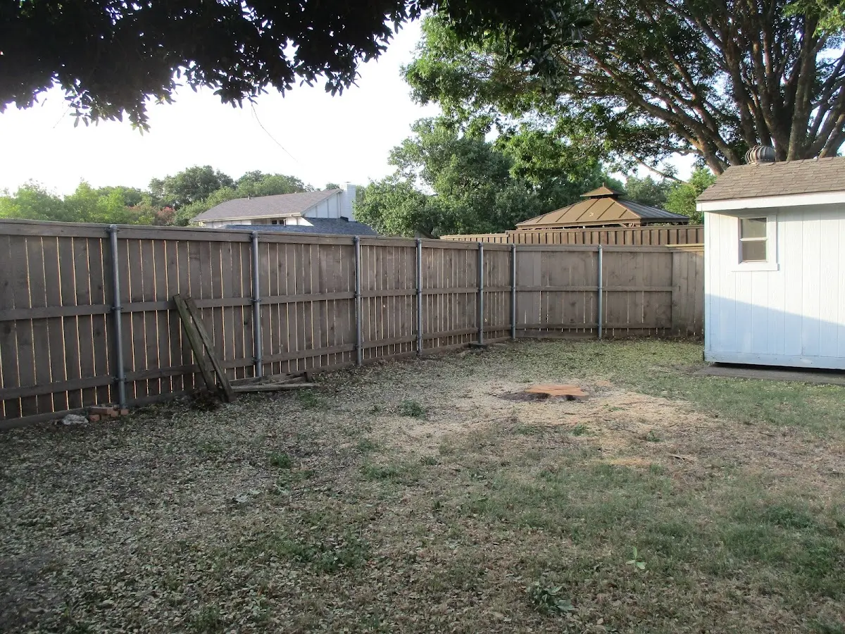 Cleared yard after professional tree removal in Mangum